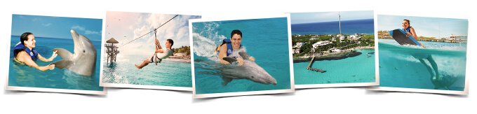comportamientos nado delfines aventura