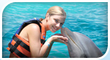 Garrafon Discovery + Dolphin Encounter