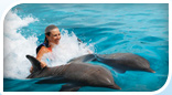 Garrafon Discovery + Royal Swim