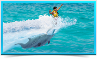 actividades parque garrafon isla mujeres nado con delfines royal