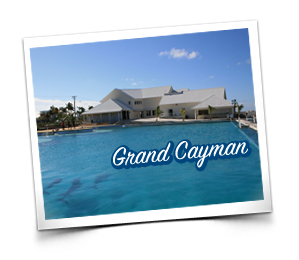 Gran Caim�n Locaci�n