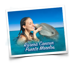 Dolphin Palace Locaci�n