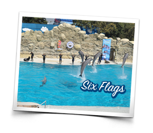 Six Flags Locaci�n