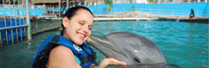 galería Dolphin Discovery galería Dolphin Discovery