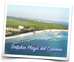 Dolphin Playa del Carmen Locaci�n