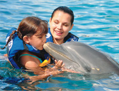 Dolphin Encounter Dolphin Encounter
