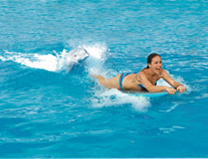 Dolphin Swim Adventure Dolphin Swim Adventure