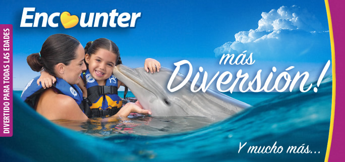 Vallarta Dolphin Encounter Program