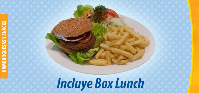 Dolphin Discovery Riviera Maya Box Lunch