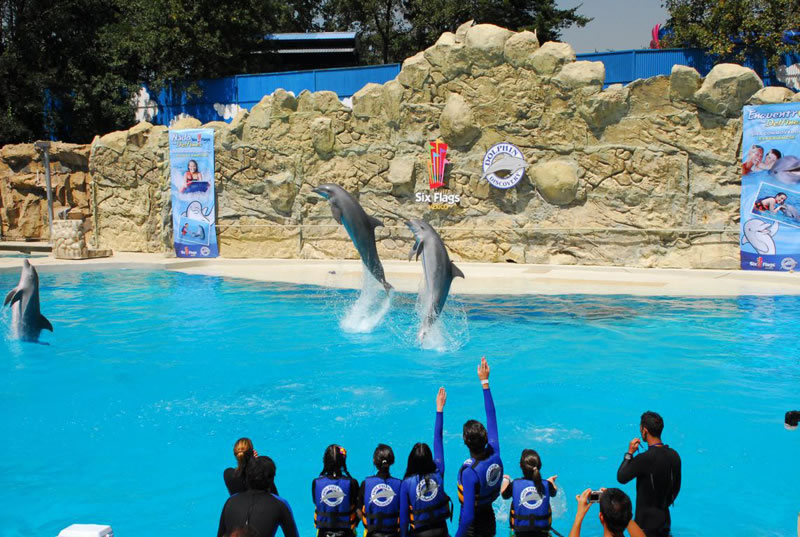 Resultado de imagen para six flags