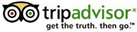 Trip Advisor Dolphin Discovery