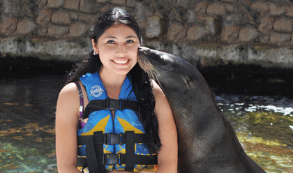 Sea Lion Discovery 