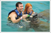 Sea Life Discovery Plus