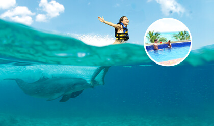 Dolphin Royal Swim 