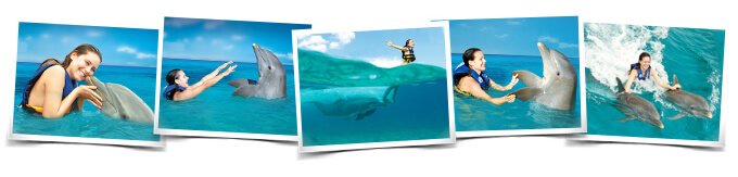 Programa nado delfines Dolphin Royal Swim