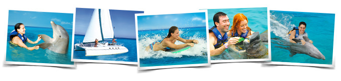 Programa nado delfines Swim Adventure