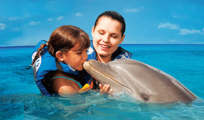 actividades nadar delfines