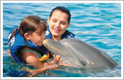 Encuentro con delfines
