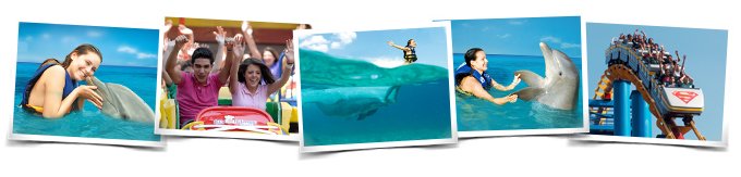 Admision + Nado con Delfines