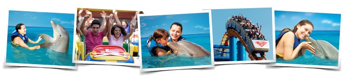 Actividades Nados delfines Dolphin Encounter Six Flags M�xico