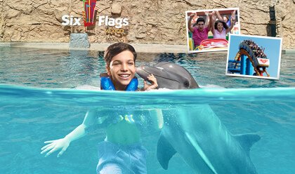 Admision + Encuentro con delfines 