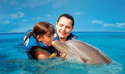 Encuentro con delfines 