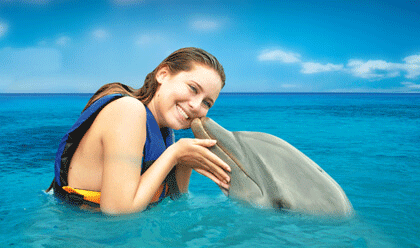 actividades nadar delfines