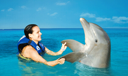 actividades nadar delfines