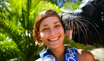 Sea Lion Discovery Sea Lion Discovery