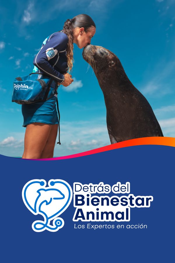 Acerca de especies Marinas
