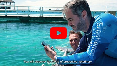 Acerca de especies Marinas