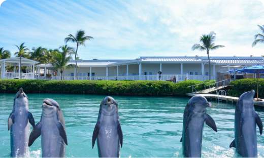 Isla Mujeres