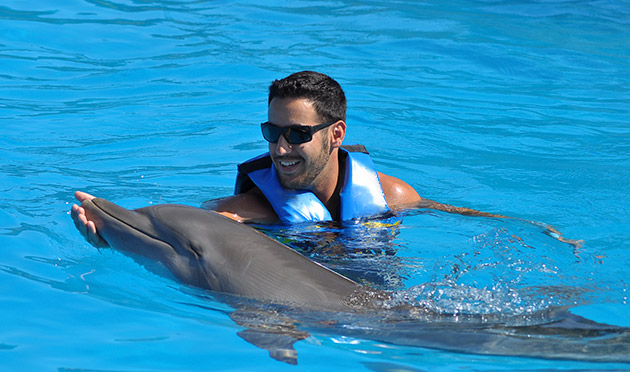 Dolphin Encounter 