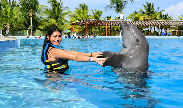 Dolphin Swim Adventure 