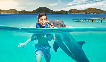 Dolphin Encounter 