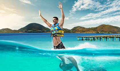 Dolphin Royal Swim Dolphin Royal Swim