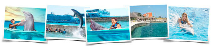 Programa nado delfines Swim Adventure