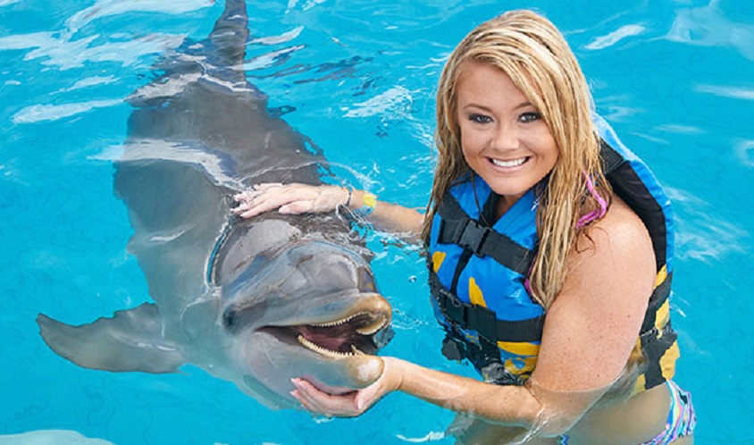 Dolphin Encounter Dolphin Encounter