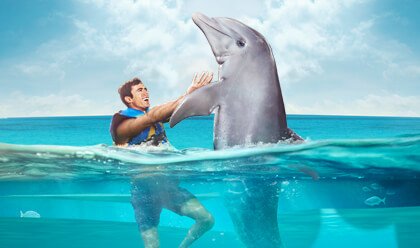 Dolphin Lover´s Swim 