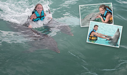 Dolphin Royal Swim 