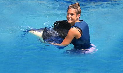 Admission Plus Admission Plus