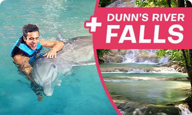 Dolphin Swim Adventure 