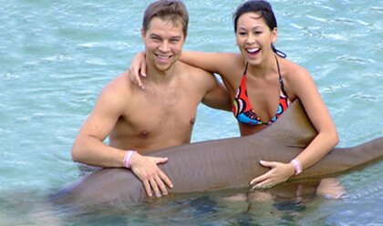 Shark Encounter 