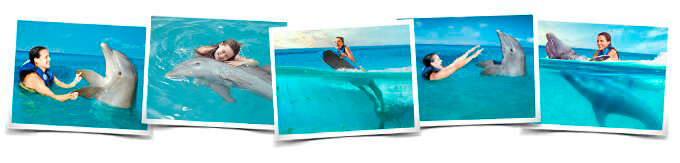 Nadar delfines Cozumel
