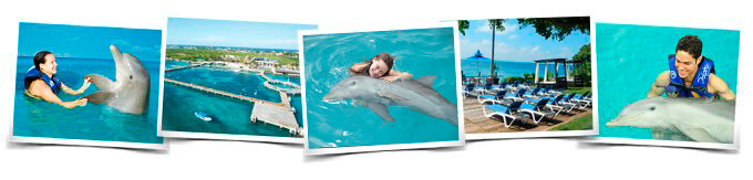 Nadar delfines Cozumel