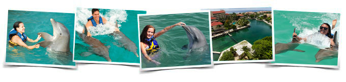 Programa nado delfines Royal Swim