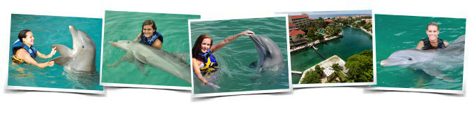 Programa nado delfines Dolphin Encounter