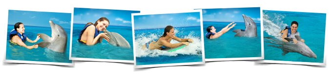 Actividades Nados  Swim Adventure Cancun Isla Mujeres