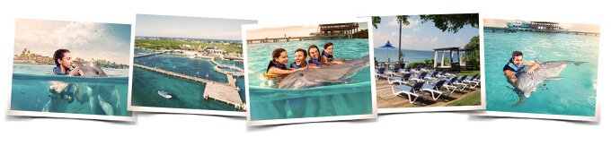 Actividades Nados delfines Dolphin Encounter Cancun