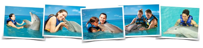 Programa nado delfines Dolphin Encounter